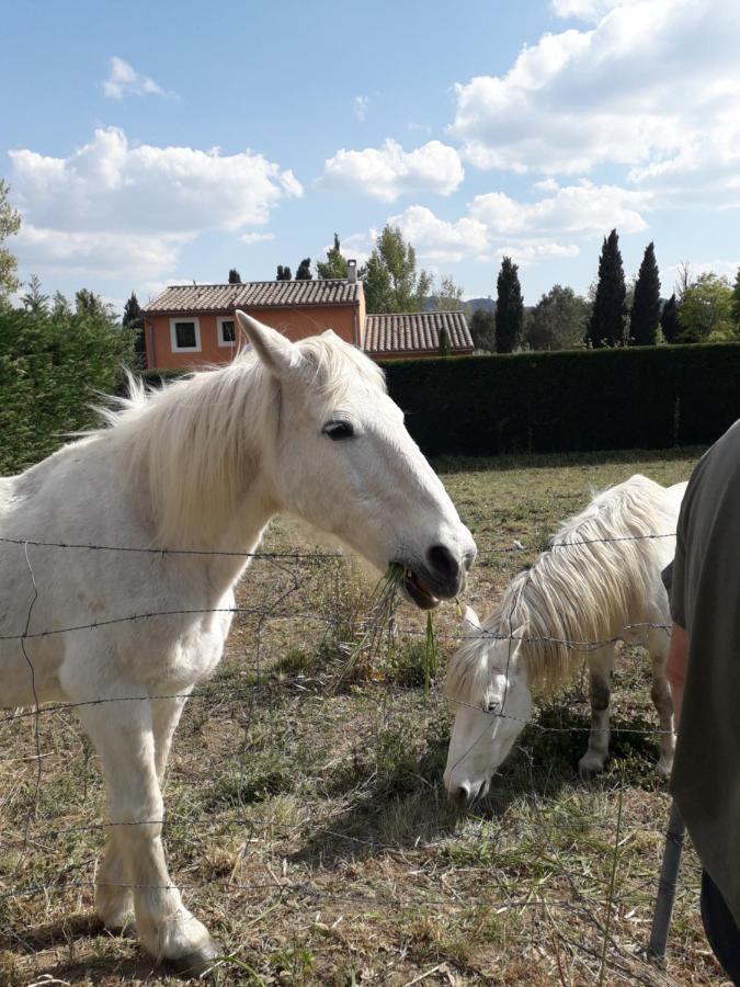 Le Mas Josephine Saint-Rémy-de-Provence Zewnętrze zdjęcie